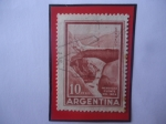 Stamps Argentina -  Puente del Inca- Mendoza- Sello de 10 m$n Pesos Nacional Argentino, año 1960.