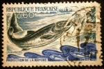 Sellos de Europa - Francia -  Protección de la naturaleza. Salmón