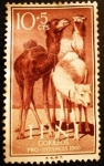 Stamps : Europe : Spain :  IFNI. Pro infancia. Dromedario