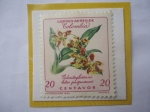 Sellos de America - Colombia -  Odontoglossum Luto Purpureum- Sello de 20 Ctvs. Año 1962.