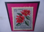 Sellos de America - El Salvador -  Flor de Pascua (Poinsettias)-Serie: Flores- Sello de 15 Ctvs. Año 1960.