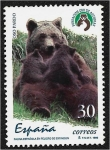 Stamps Spain -  Fauna española en peligro 1996. Oso pardo (Ursus arctos)