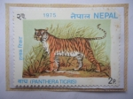 Stamps Nepal -  Tigre de Bengala- Panthera tigris - Sello de 2 Paisa Nepalí