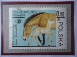 Sellos de Europa - Polonia -  Jardín Zoológico de Varsovia (928/78)-Caballo Przewalskii