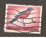 Stamps South Africa -  INTERCAMBIO