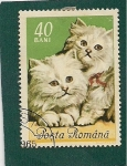 Sellos de Europa - Rumania -  Gatos