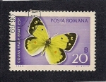 Sellos del Mundo : Europe : Romania : Mariposa