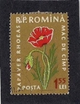 Stamps Romania -  Plantas