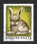 Stamps Hungary -  2325 - Animales Jóvenes