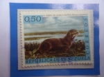 Stamps Venezuela -  Nutria o Perro de Agua (Pteronura brasiliensis)