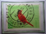 Stamps Venezuela -  Cardenal Coriano (Richmondena phoenicea)