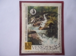 Stamps Venezuela -  Conserve los Recursos Naturales Renovables- Venezuela los necesita