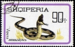 Sellos del Mundo : Europa : Albania : Vipera Ammodytes