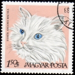 Sellos de Europa - Hungr�a -  Gatos: Angora blanco