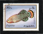 Sellos de Asia - Emiratos �rabes Unidos -  3  FUJEIRA  Notobranchius Rachovi