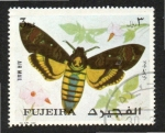 Stamps United Arab Emirates -  7  FUJEIRA  Mariposa