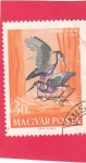 Stamps Hungary -  aves