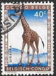 Stamps Democratic Republic of the Congo -  Congo Belga