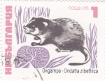 Sellos del Mundo : Europe : Bulgaria : marsupial