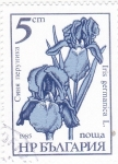 Sellos del Mundo : Europe : Bulgaria : FLORES-Iris germanica