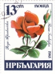 Stamps Bulgaria -  rosas