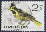 Sellos de America - Uruguay -  Pajaros