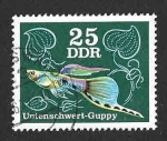 Sellos de Europa - Alemania -  1772 - Pez Guppy (DDR)