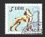 Stamps Germany -  1749 - Bóxer (DDR)