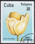 Sellos de America - Cuba -  Tulipán, Jewel of Spring