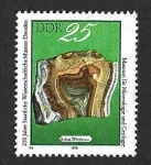 Stamps Germany -  1960 - 250 Aniversario del Museo de Historia Natural de Dresde (DDR)