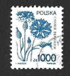 Sellos de Europa - Polonia -  2921 - Flor de Maíz Azul