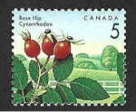 Sellos de America - Canad� -  1352 - Escaramujo