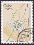 Sellos de America - Cuba -  Pancratium arenicolum