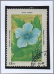 Stamps Afghanistan -  Vinca major