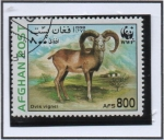 Stamps Afghanistan -  Ovis vignei