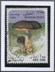 Stamps Afghanistan -  Suillus luteus