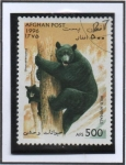 Stamps Afghanistan -  Oso americano