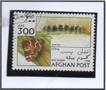 Stamps Afghanistan -  Arctia caja