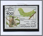 Stamps Afghanistan -  Sphinx ligustri