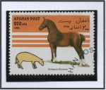 Stamps Afghanistan -  Echippus (eocene)