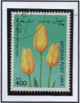 Stamps Afghanistan -  Mrsjohn scheepers