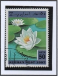 Stamps Afghanistan -  Nymphaea odorada