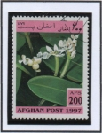 Stamps Afghanistan -  Aponogeton distachyus