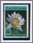 Stamps Afghanistan -  Nymphaea campesis