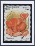 Stamps Afghanistan -  Cuepiania helvelloides