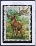 Stamps Afghanistan -  Magaloceros gigantes