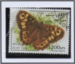 Stamps Afghanistan -  Parageaegeria