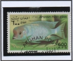 Stamps Afghanistan -  Nplocrmis mooril