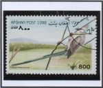 Stamps Afghanistan -  Collus macrourus