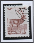 Stamps Afghanistan -  Ciervo elaphus